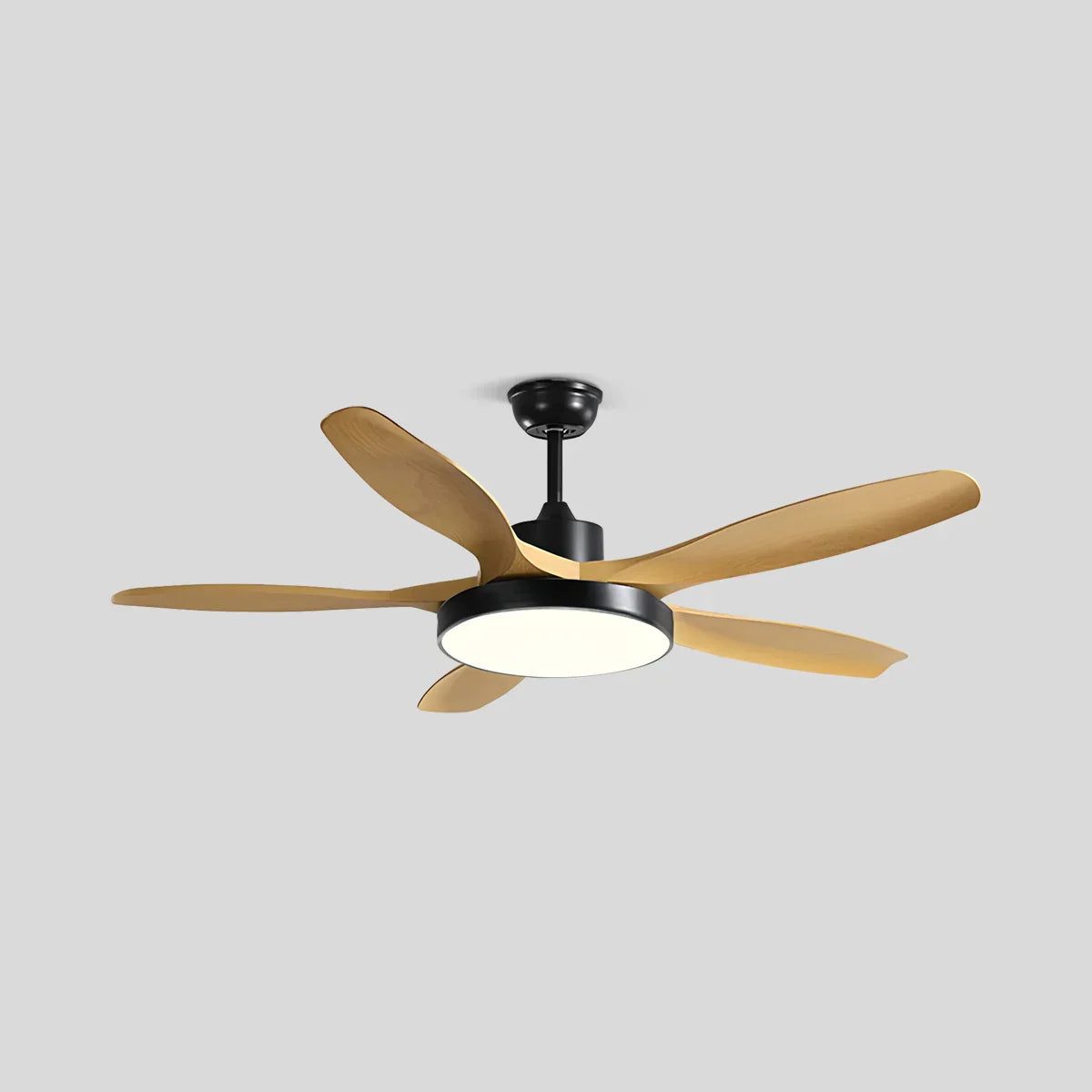 Alevio Ceiling Fan