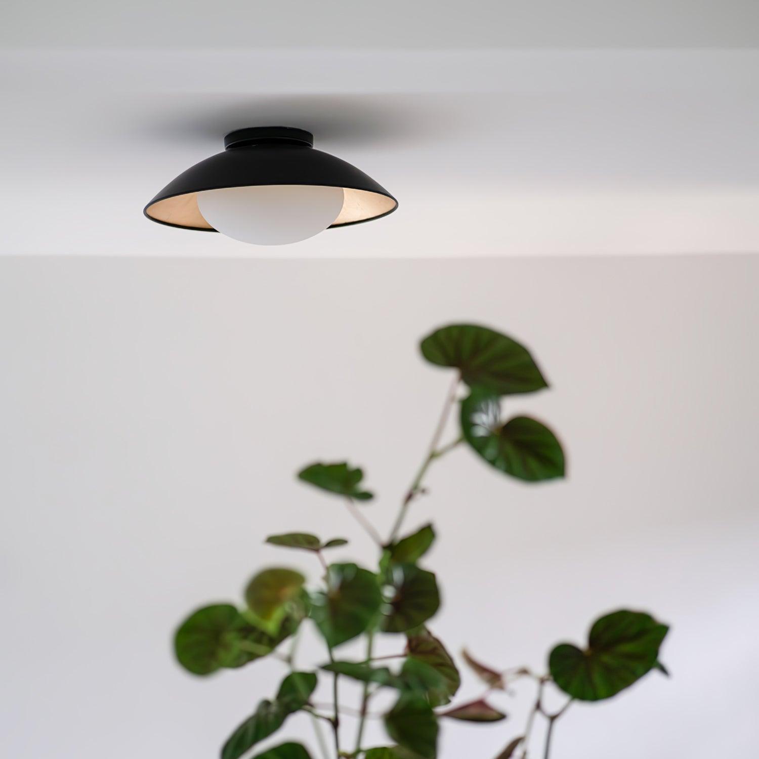 Adrienne Ceiling Lamp (NAME DOUBLE FIELD)