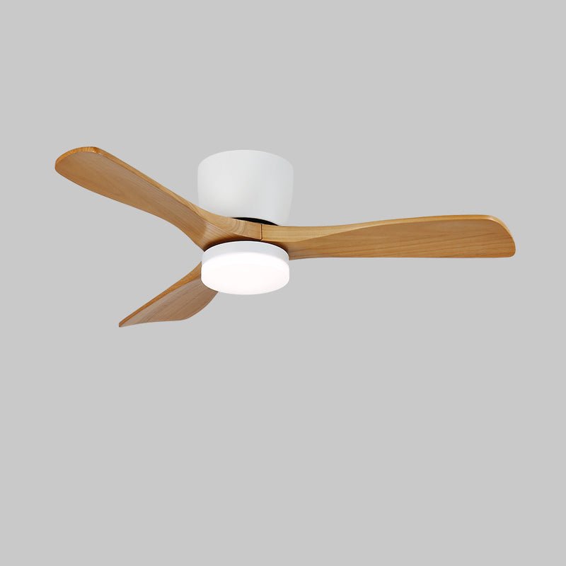 Aredemo Ceiling Fan
