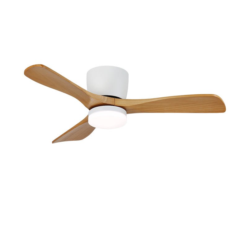 Aredemo Ceiling Fan