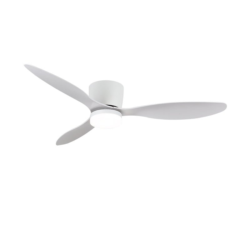 Aredemo Ceiling Fan