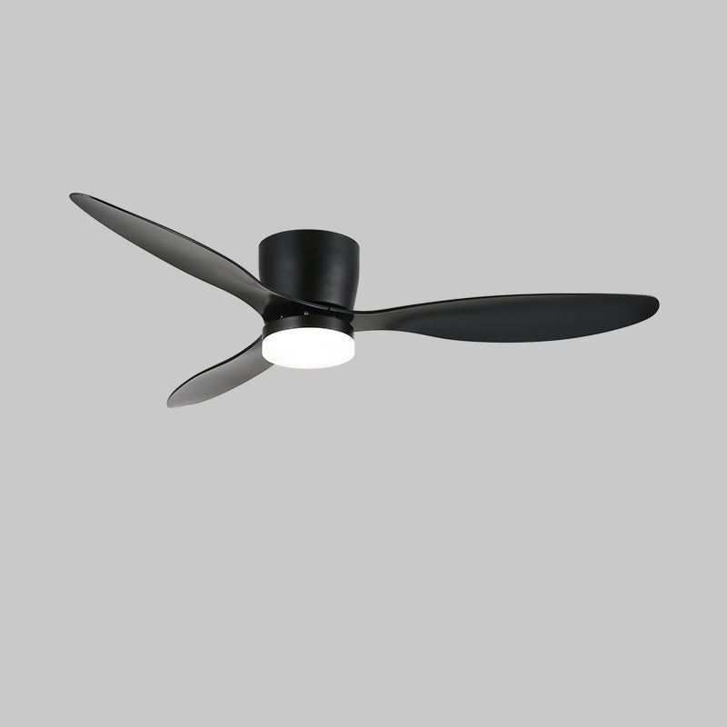 Aredemo Ceiling Fan