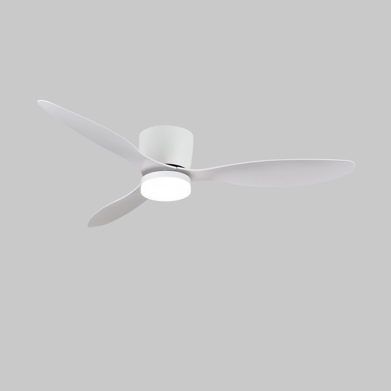 Aredemo Ceiling Fan