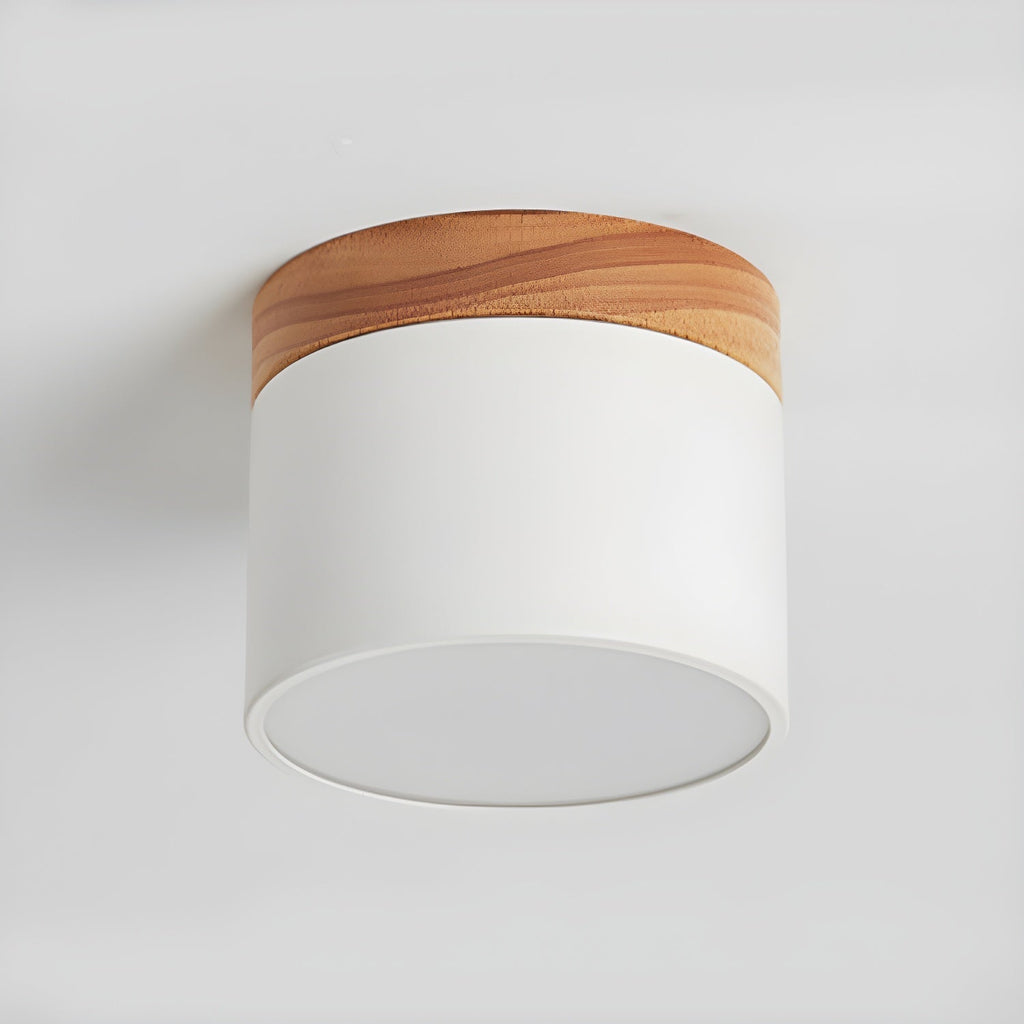 Amfi Cylinder Spotlight Ceiling Lamp