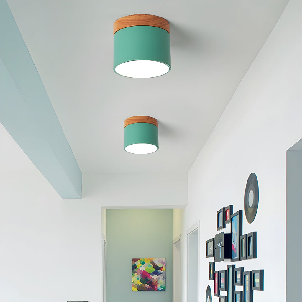 Amfi Cylinder Spotlight Ceiling Lamp