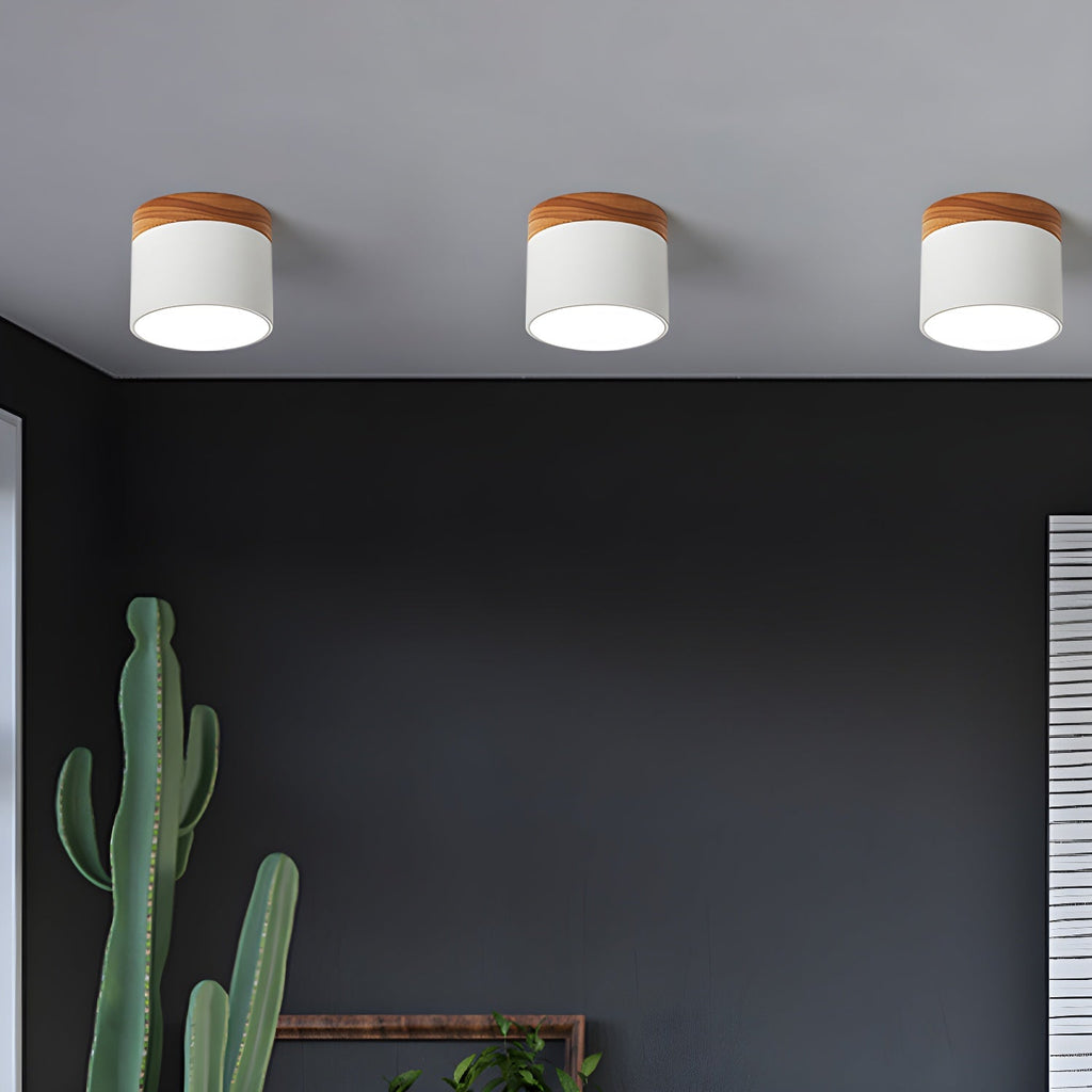 Amfi Cylinder Spotlight Ceiling Lamp