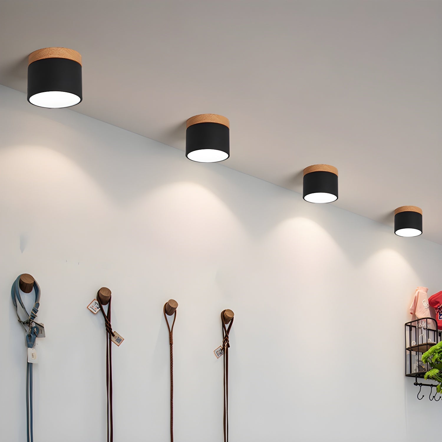 Amfi Cylinder Spotlight Ceiling Lamp