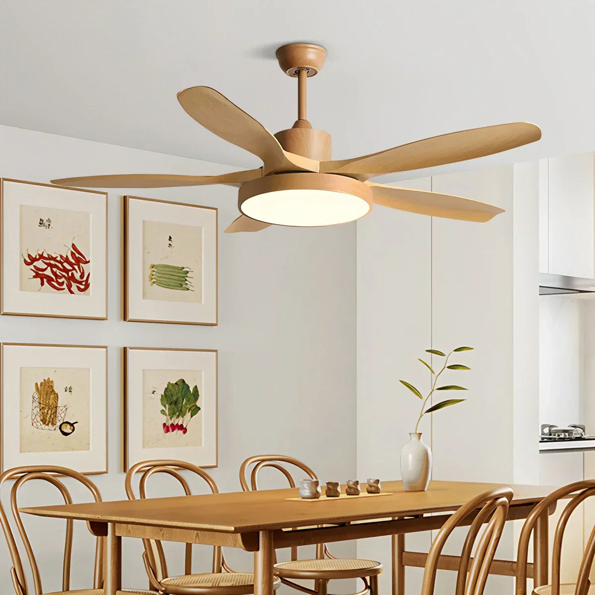 Alevio Ceiling Fan