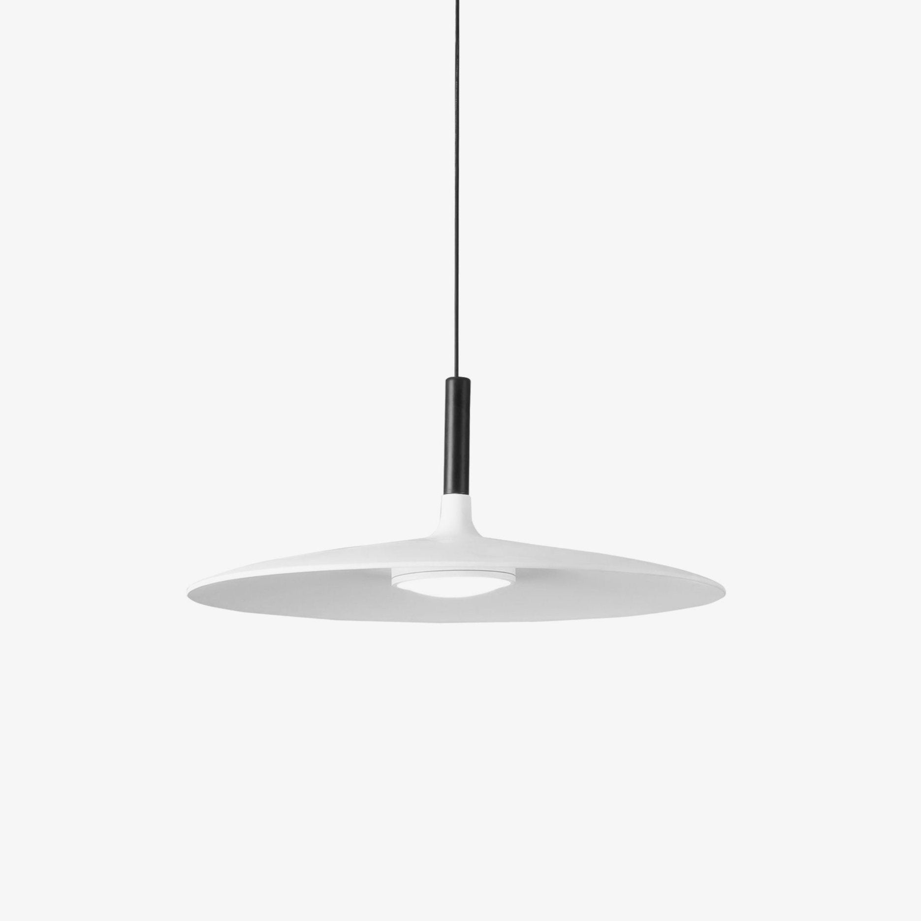 Alomb Metal Pendant Lamp