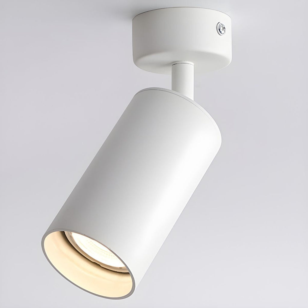 Alzo Spotlight Ceiling Lamp