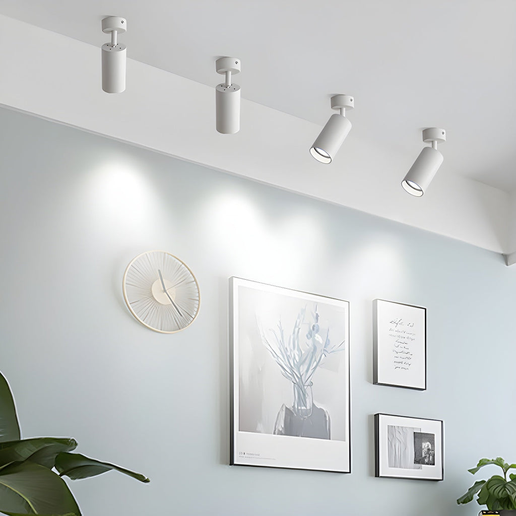 Alzo Spotlight Ceiling Lamp