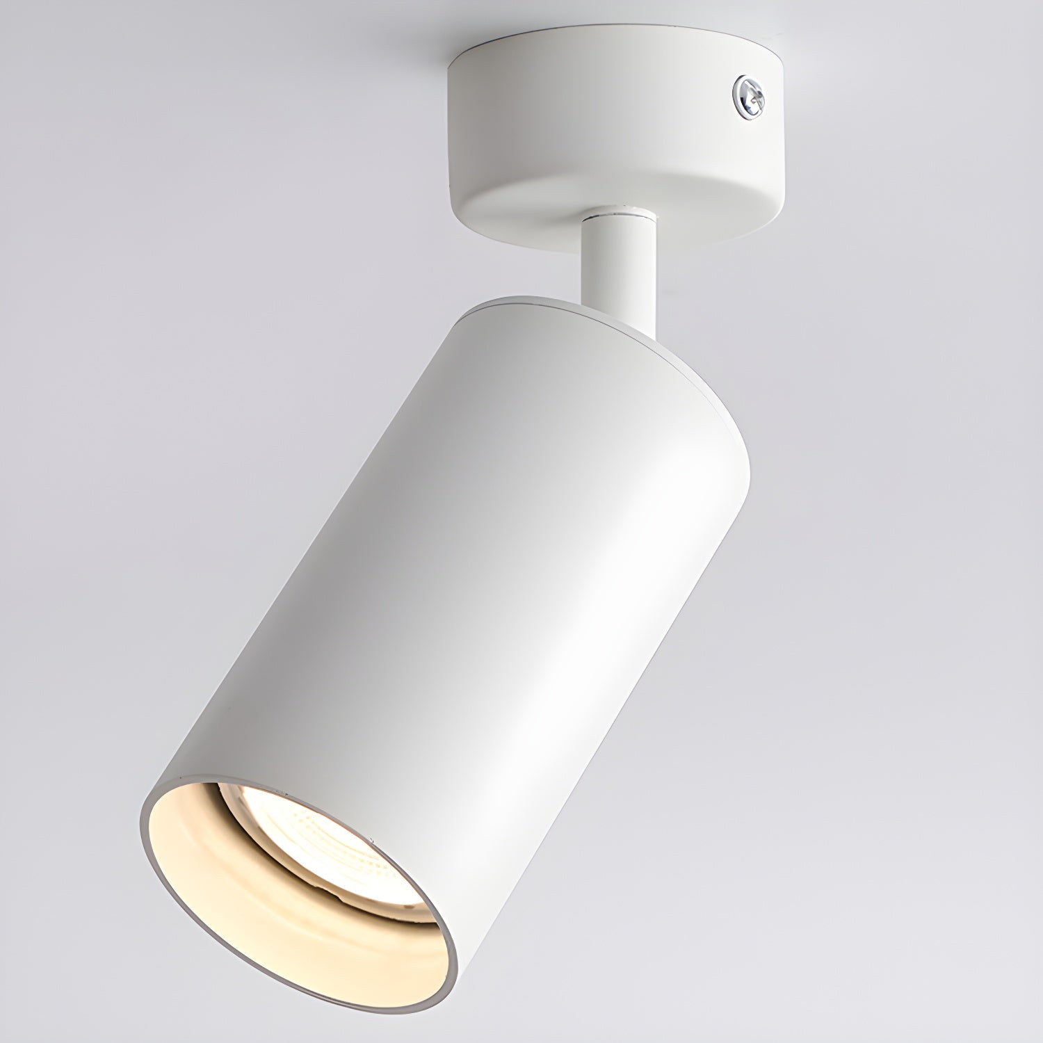 Alzo Spotlight Ceiling Lamp