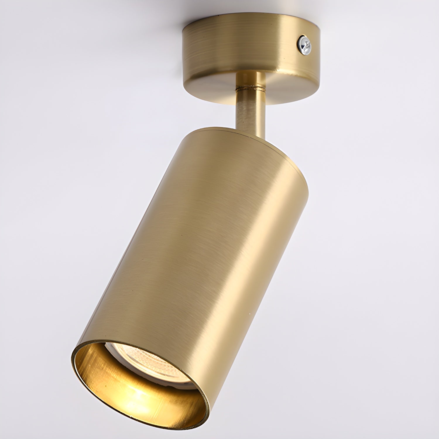 Alzo Spotlight Ceiling Lamp