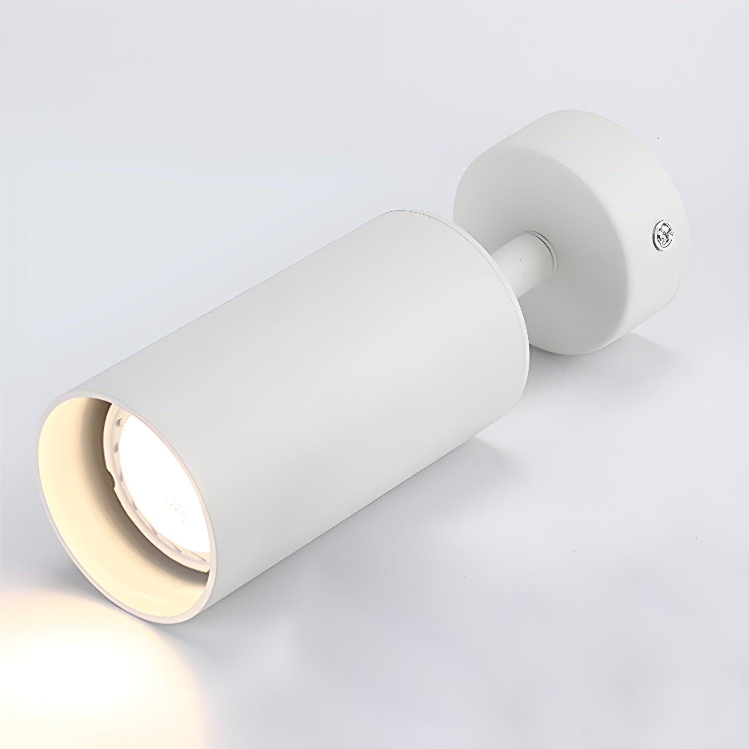 Alzo Spotlight Ceiling Lamp