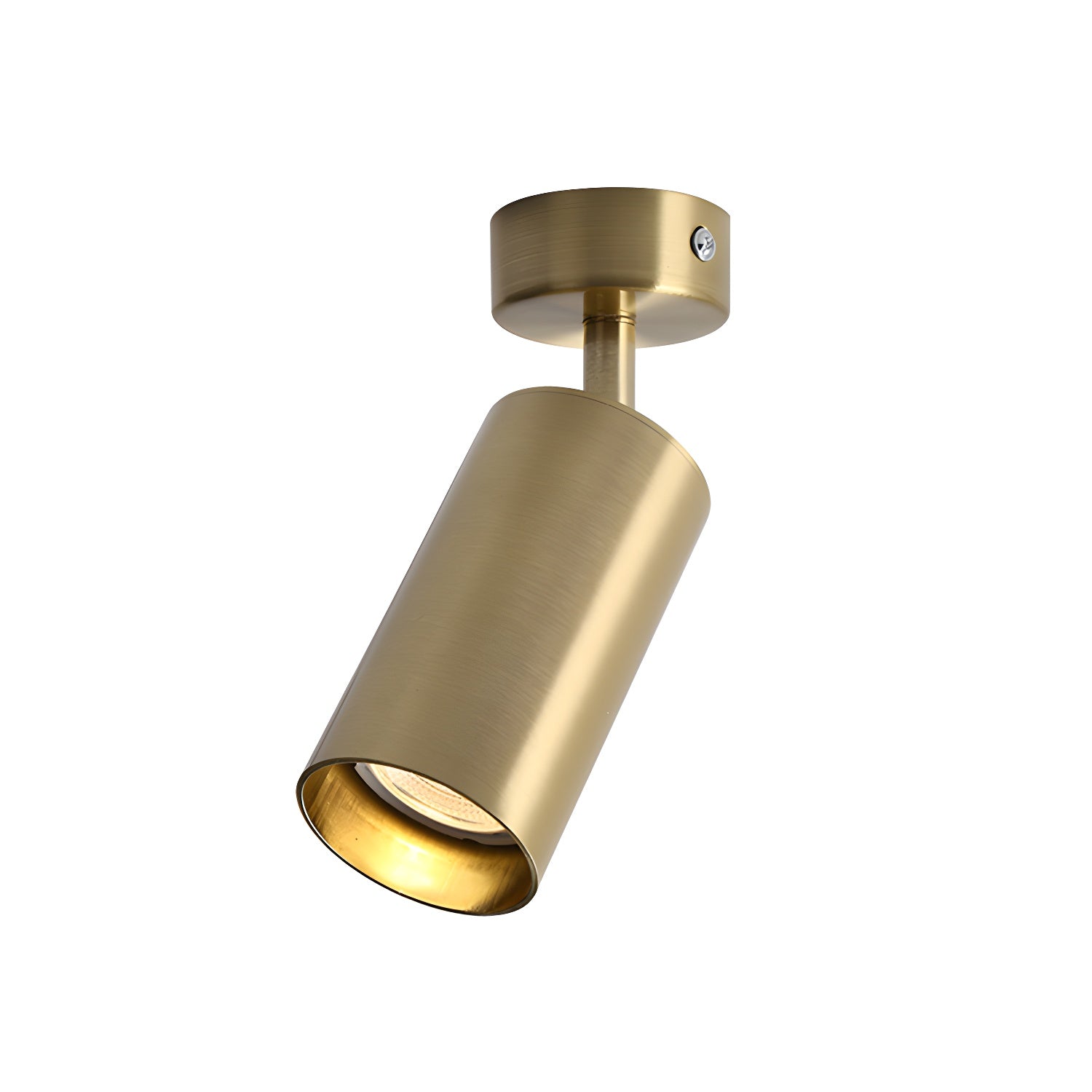 Alzo Spotlight Ceiling Lamp