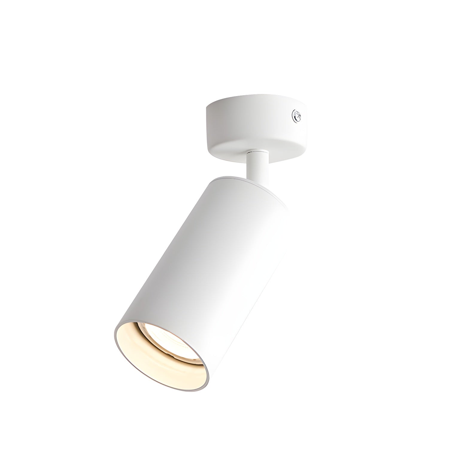 Alzo Spotlight Ceiling Lamp